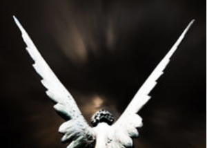 tanahoy.com guardian_angel_protection2