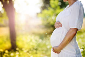 tanahoy.com pregnancy