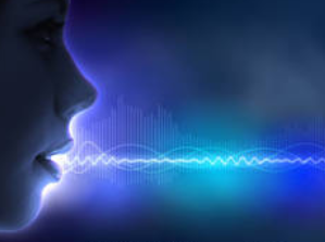 tanahoy.com voice