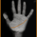 palmistry- money line