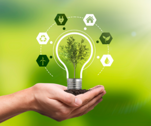 hand holding lightbulb showing renewable energy source