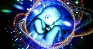 tanahoy.com reincarnating spirit