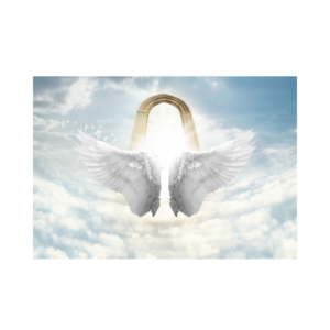 Angel wings in front of heavens gates
