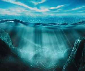 Tana Hoy predicts that a deep-sea mission will find new species
