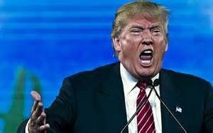 tanahoy.com Donald Trump