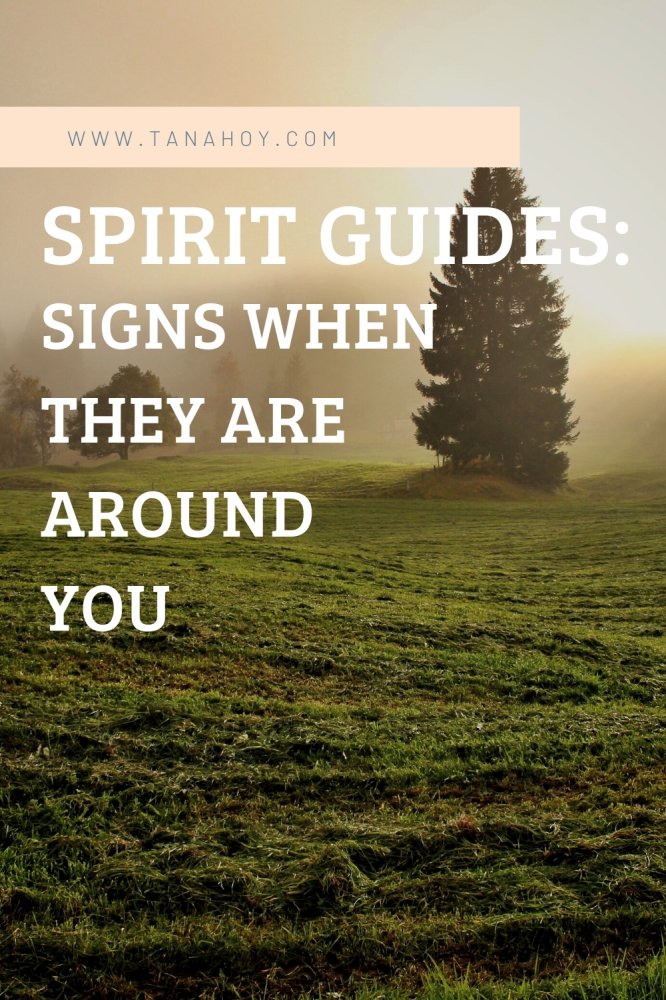 Sirit Guides – Signs When They Are Around You