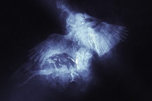 tanahoy.com guardian angel