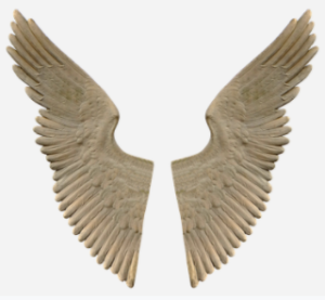 Do Guardian Angels Need Wings To Travel?
