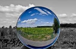 Psychic predictions 2014