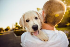 puppy carried by owner
