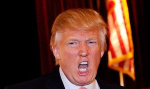 tanahoy.com donald-trump