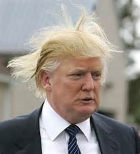 tanahoy.com donald trump