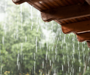 Rain falling from a wooden roof eave with blurred trees in the background.