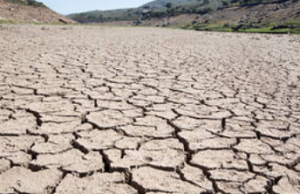 tanahoy.com drought