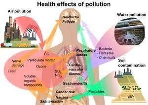 effects of pollution on health