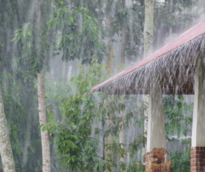 Heavy rain pours off the roof of a building surrounded by trees.
