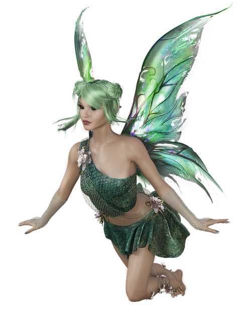 fairy photo