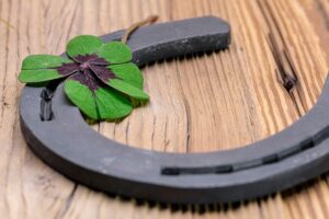 a four-leaf clover resting on a dark, rustic horseshoe