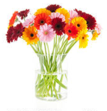 tanahoy.com fresh_flowers_in_vase