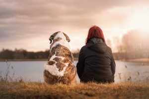 tanahoy.com psychic pets
