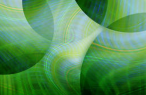 tanahoy.com green_color