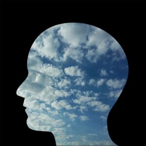 human mind