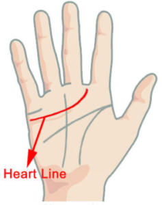 tanahoy.com heart_line