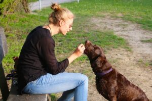 a blonde woman sitting on a wooden bench. She is looking at and interacting with a brown dog who is sitting on the ground in front of her