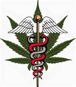 tanahoy.com medical marijuana