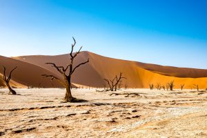 drought