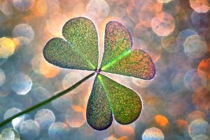 tanahaoy.com good luck spells