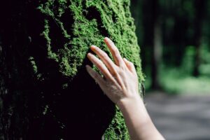 hand touching the green moss the wall