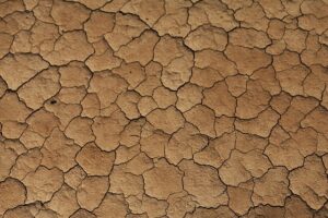 high-angle shot of dry, cracked earth or sand, forming an intricate pattern of polygons
