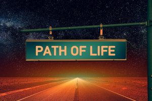 life path