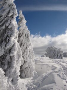 winter storm