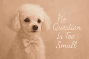 Poodle during a psychic reading story
