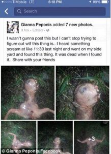 tanahoy.com Gianna Pepponis alien in backyard
