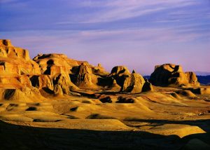 tanahoy.com moguicheng