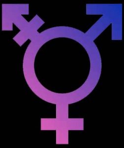 tanahoy.com transgender symbol