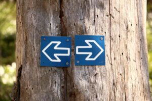 left and right arrows pinned on a tree