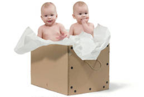 tanahoy.com twins