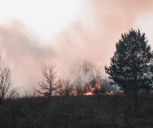 Brush fire burning through dry grass with visible flames and smoke